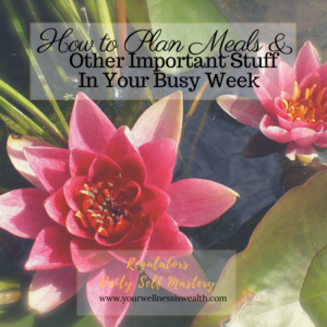 How To Plan Meals & Other Important Stuff In Your Busy Week